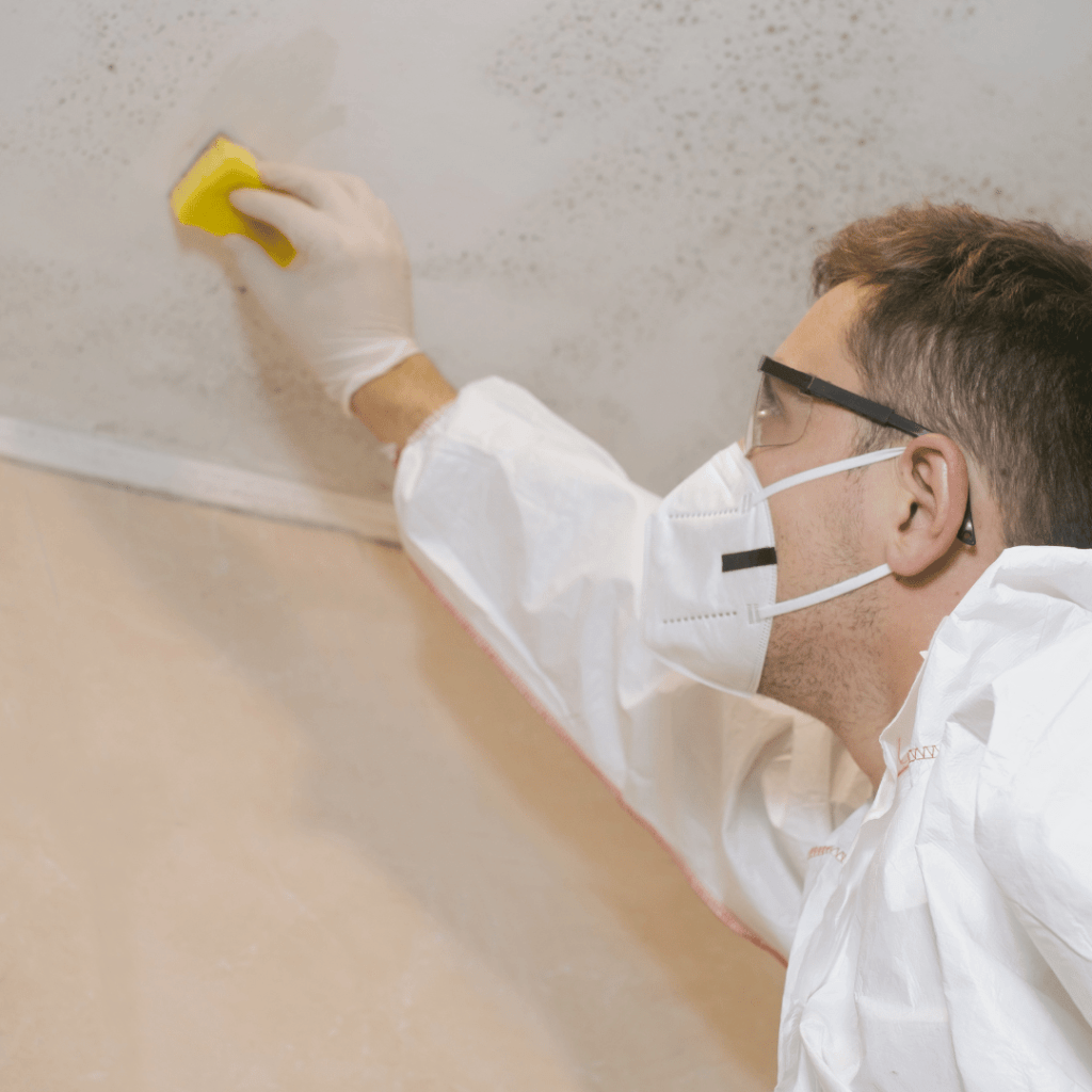 A man wearing a protective equipment and cleaning mold damage from a ceiling with a sponge